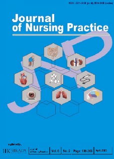 Nursing 2023 Supporting Journal